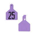 Pre-Numbered Calf Tags