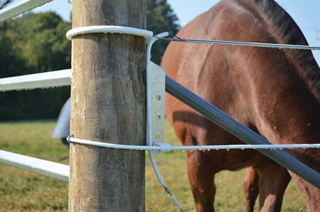 Horse Brace - Large Animal Braces