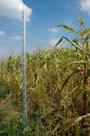 Galvanized HD T-Post 6' with Plate